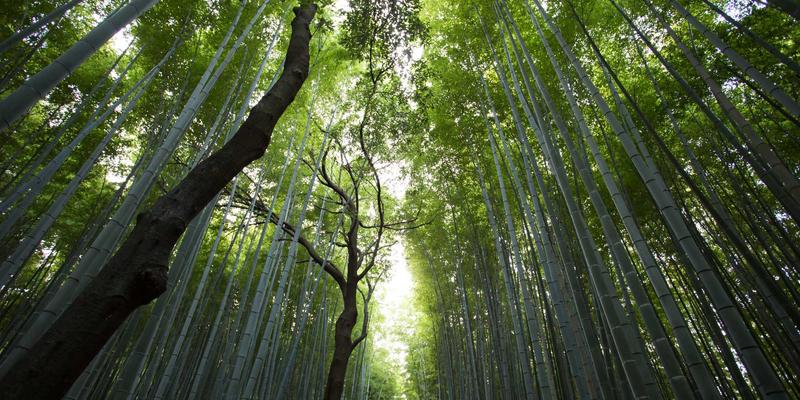 如何衡量情感分析的实际效果